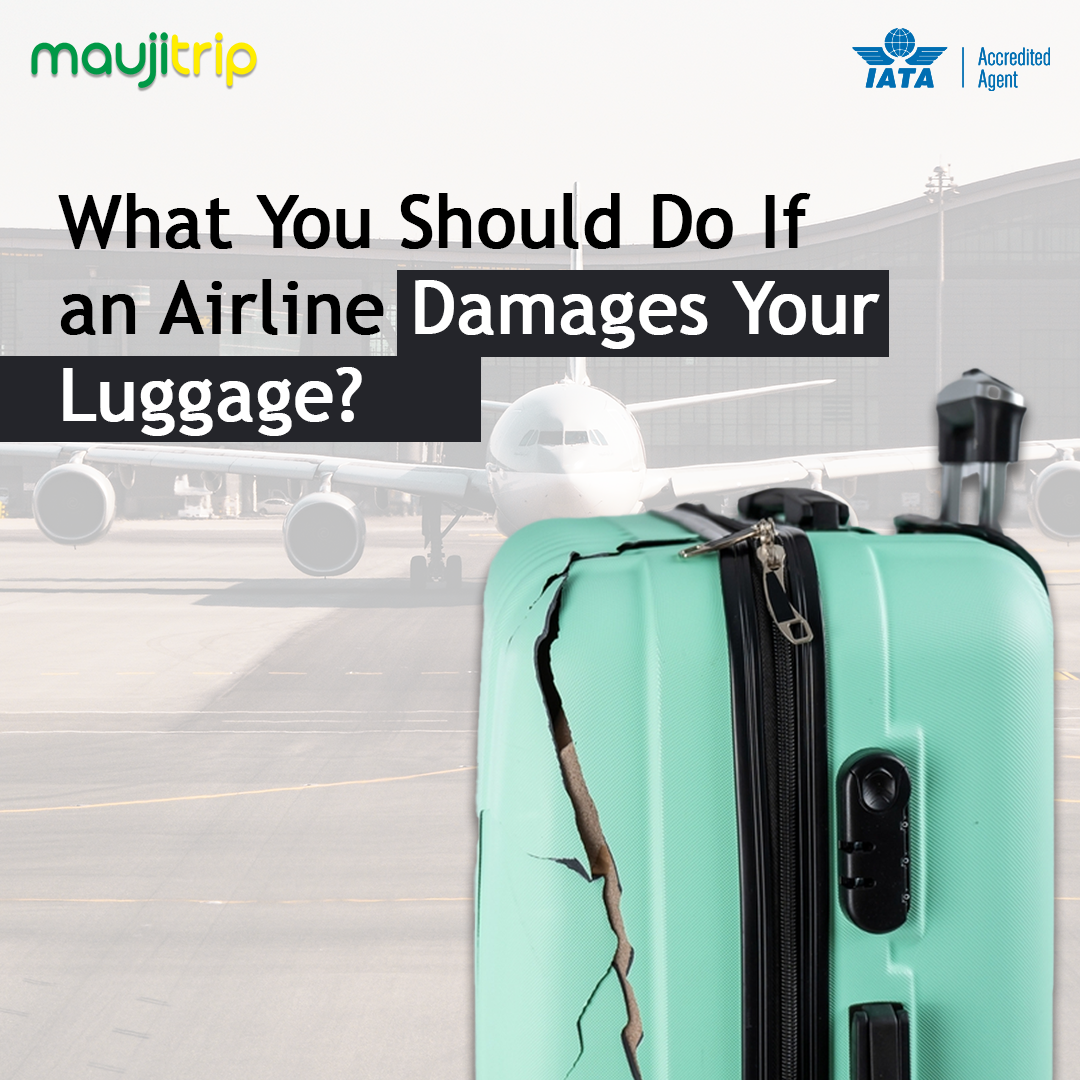 What You Should Do If an Airline Damages Your Luggage?