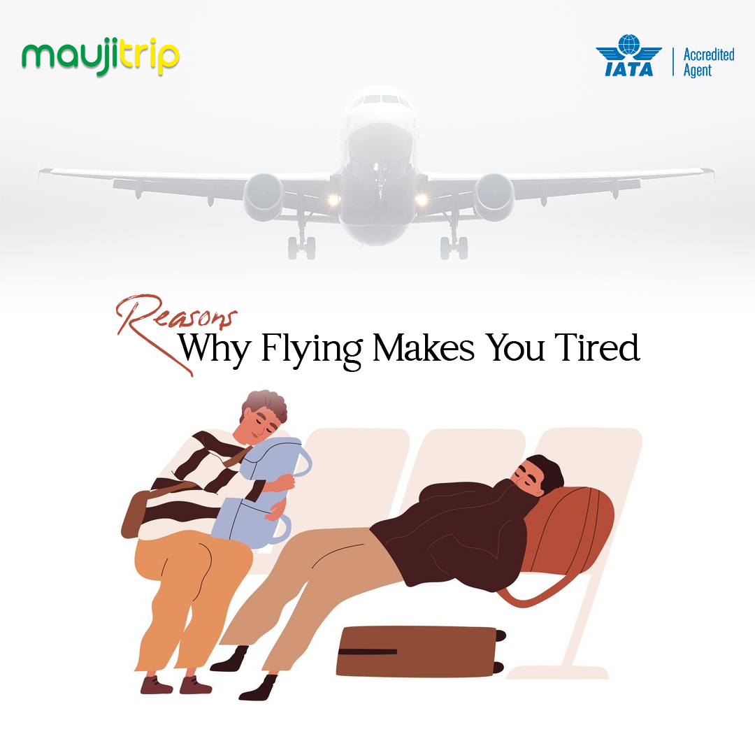 Reasons Why Flying Makes You Tired
