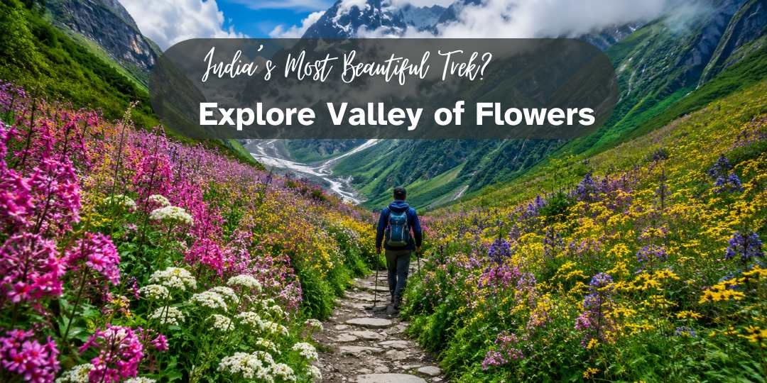 India’s Most Beautiful Trek? Explore Valley of Flowers