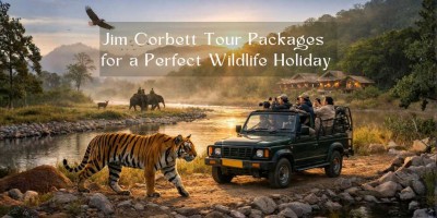 Jim Corbett Tour Packages for a Perfect Wildlife Holiday