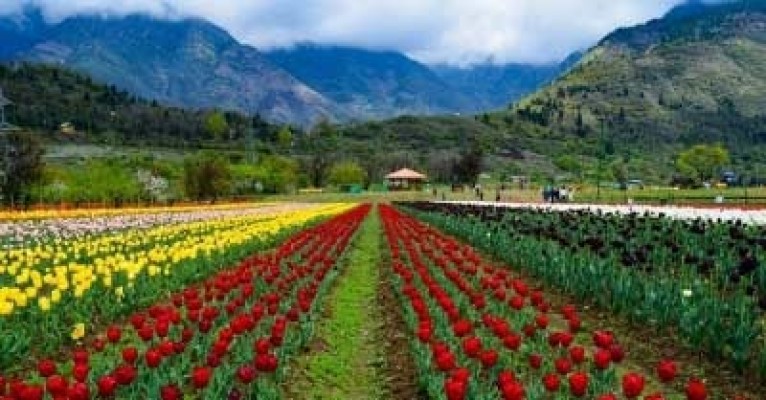 Jammu Kashmir Tour Packages