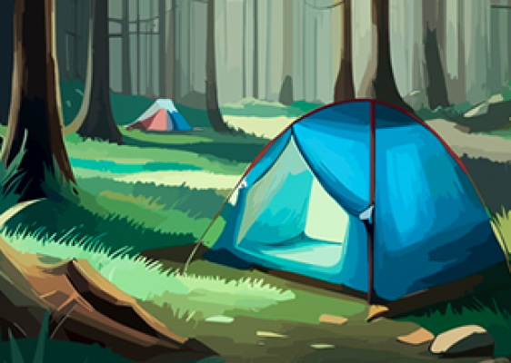 Adventure Tours